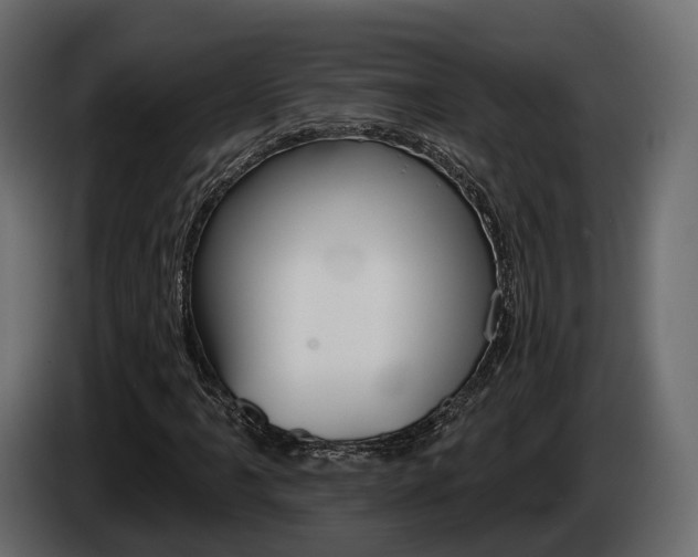X0000085041061200703051021