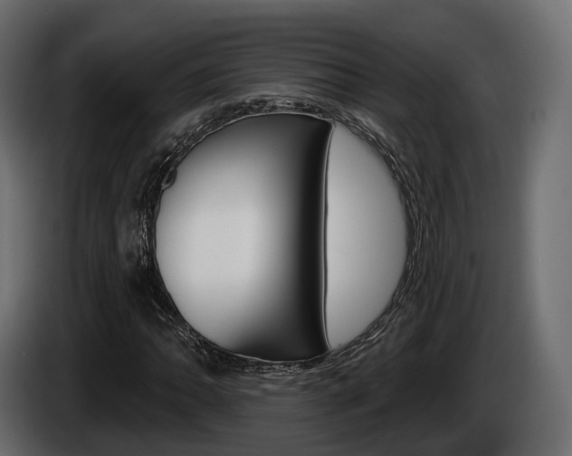 X0000085041062200703051021