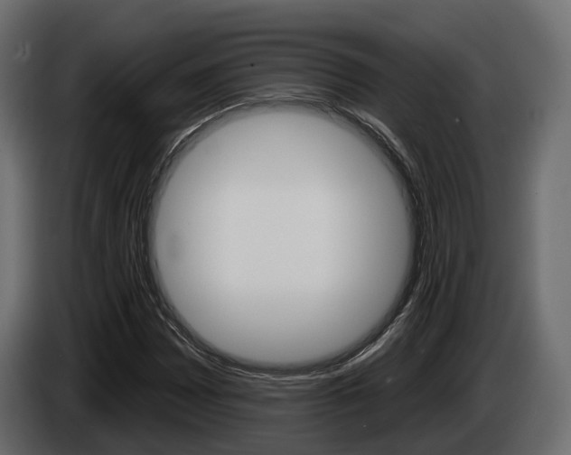 X0000085041065200703051021