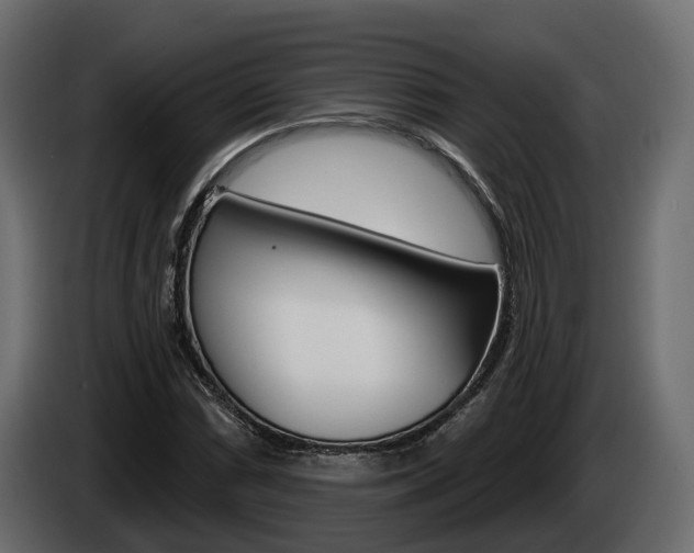 X0000085041066200703051021