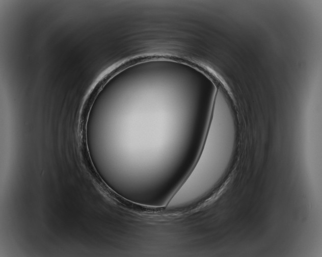 X0000085041077200703051020