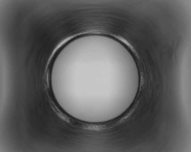 X0000085041078200703051020