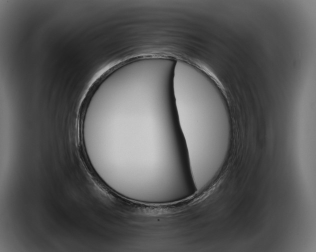 X0000085041079200703051020