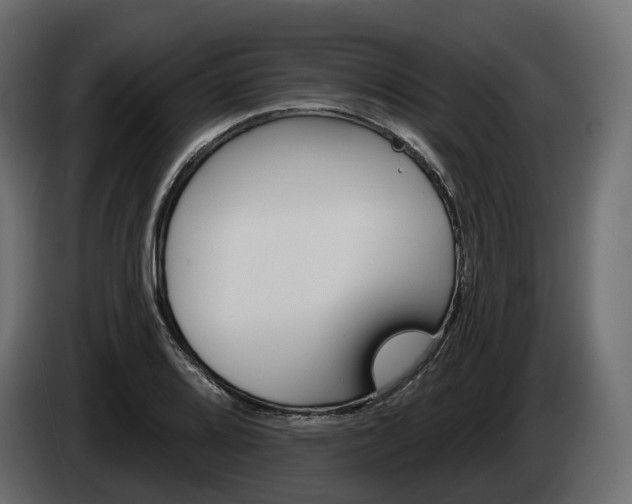 X0000085041080200703051020