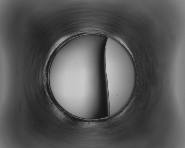 X0000085041082200703051020