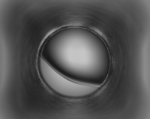 X0000085041085200703051020