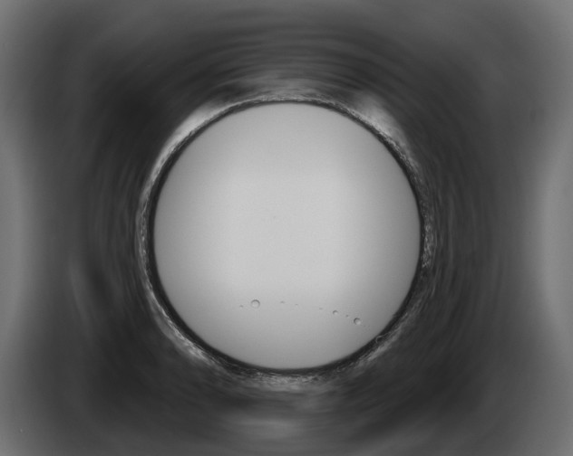 X0000085041086200703051020