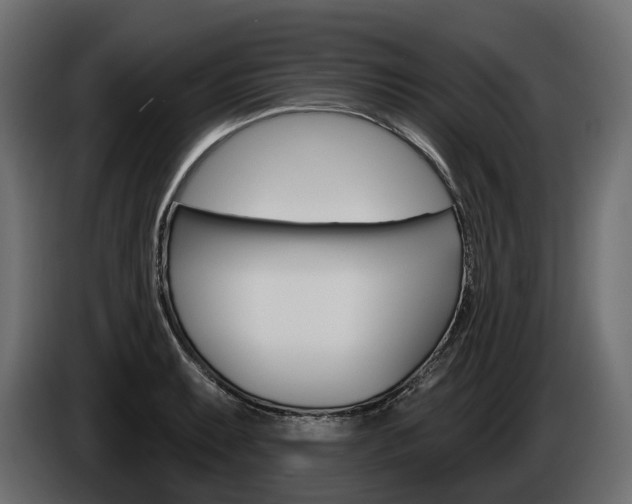 X0000085041087200703051020