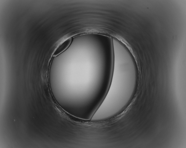 X0000085041089200703051020