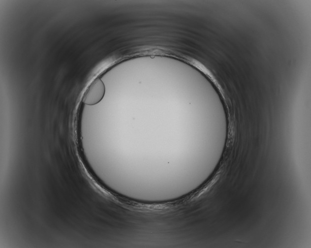 X0000085041090200703051020