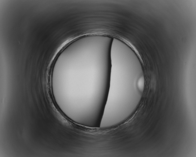 X0000085041091200703051020