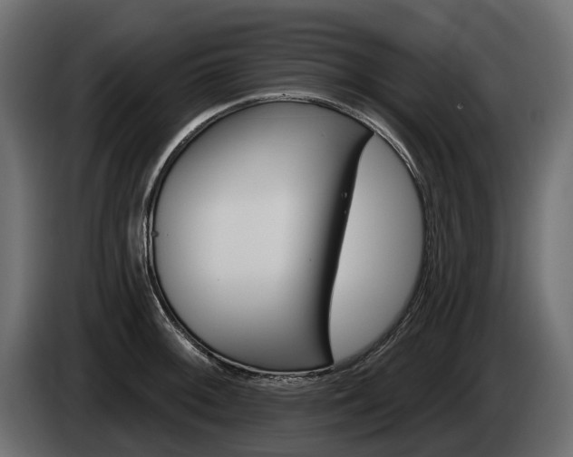 X0000085041092200703051020
