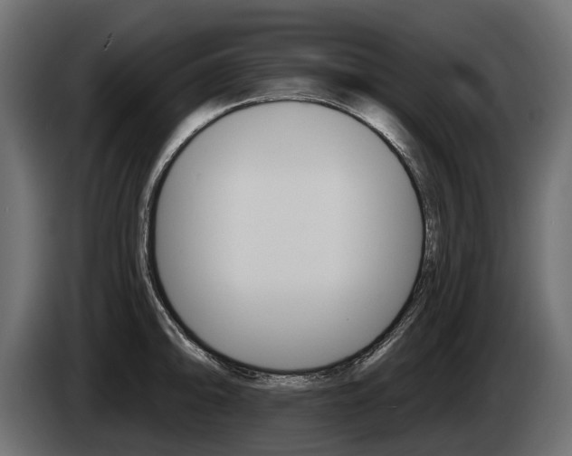 X0000085041094200703051020