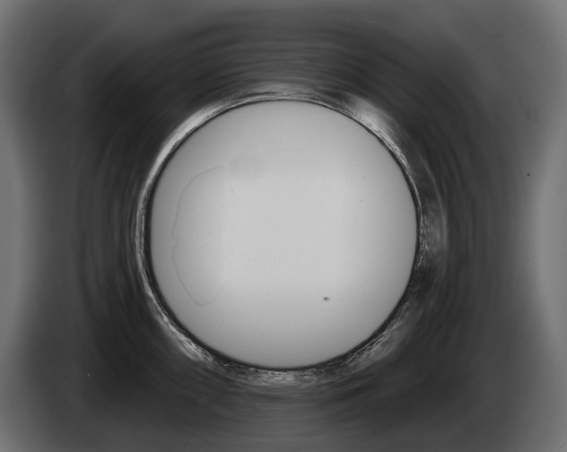 X0000085041098200703051020