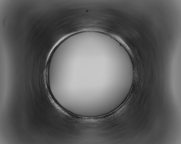 X0000085041100200703051020