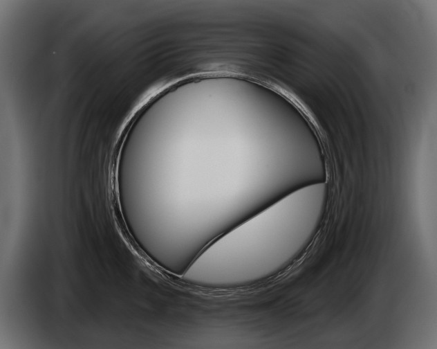 X0000085041101200703051020
