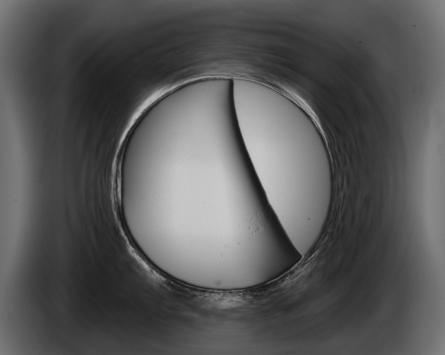X0000085041103200703051020