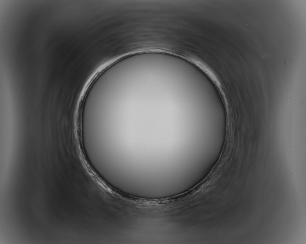X0000085041104200703051020