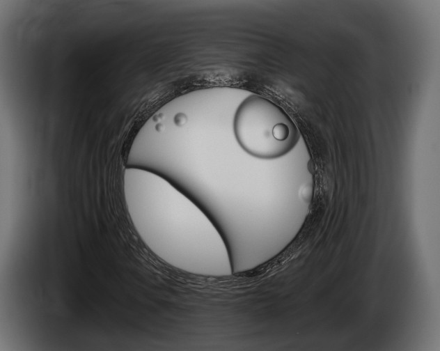 X0000085041106200703051019
