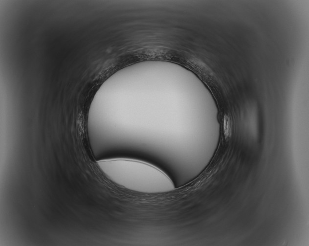 X0000085041107200703051019