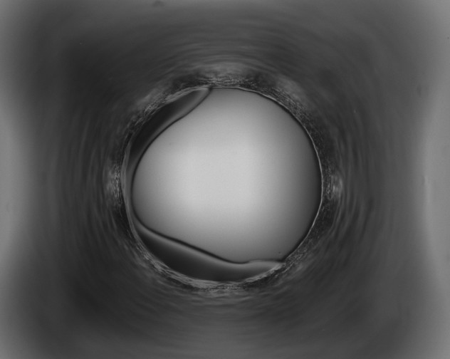 X0000085041108200703051019