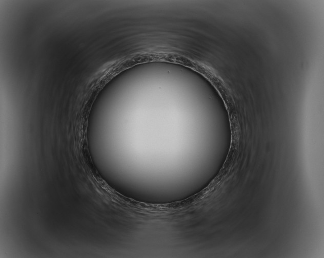 X0000085041110200703051020