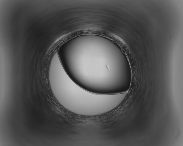 X0000085041112200703051020