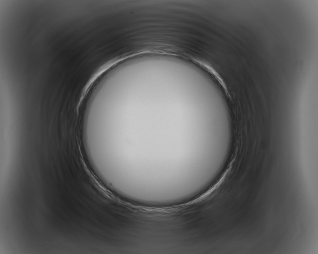 X0000085041114200703051020