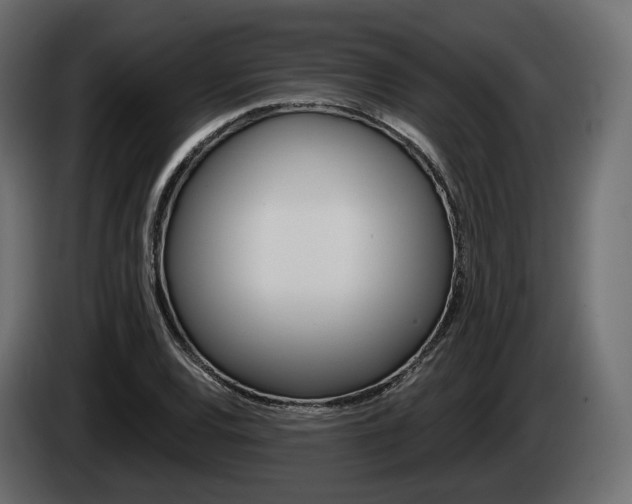X0000085041120200703051020