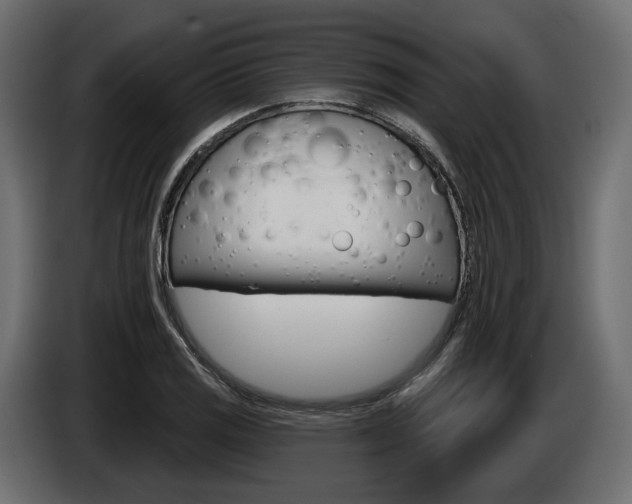 X0000085041125200703051020