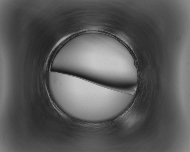 X0000085041127200703051020