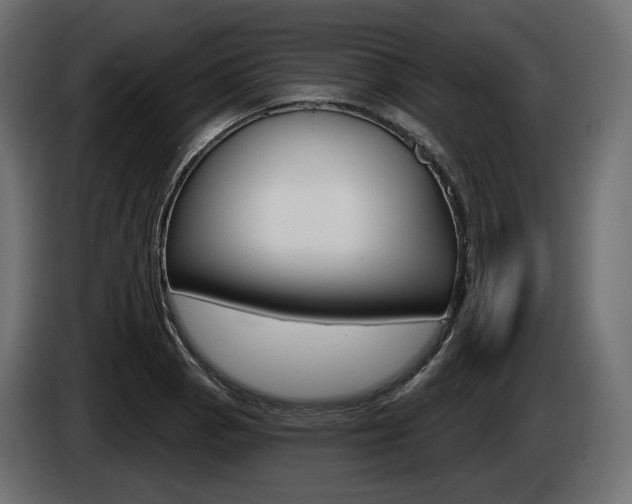 X0000085041129200703051020