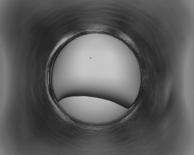 X0000085041130200703051020
