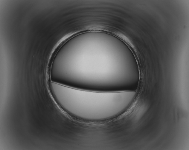 X0000085041133200703051020