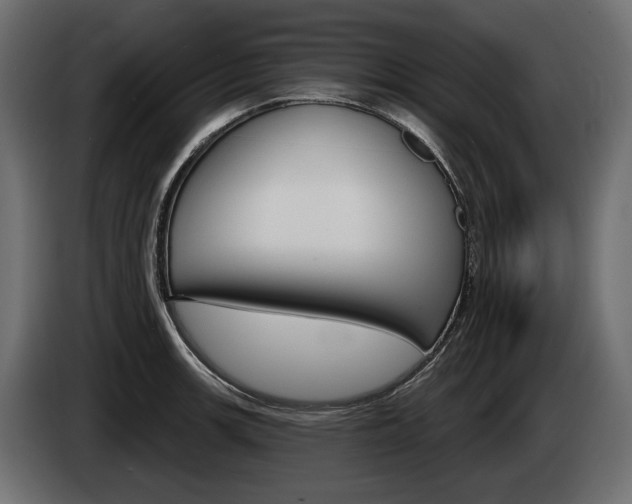 X0000085041139200703051020
