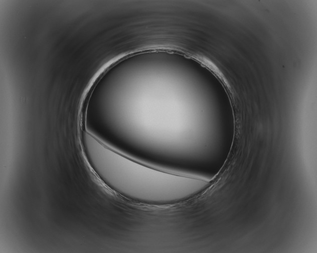 X0000085041140200703051020