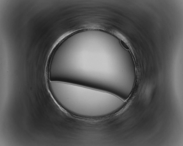 X0000085041141200703051020