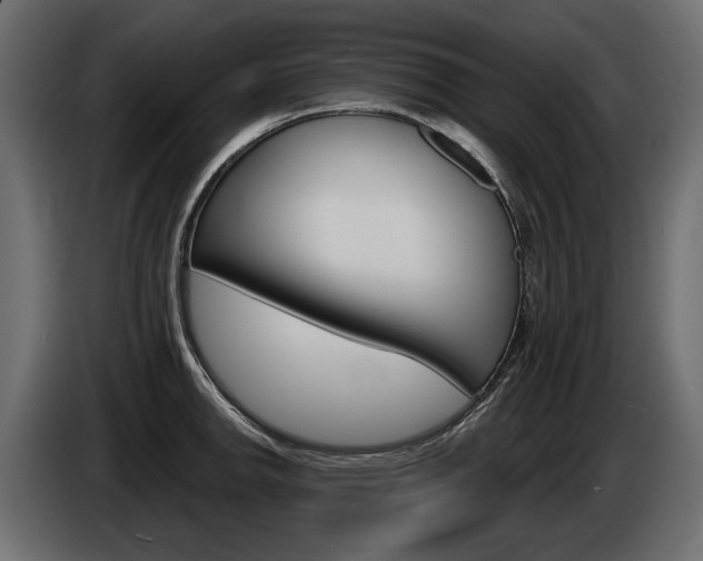 X0000085041142200703051020