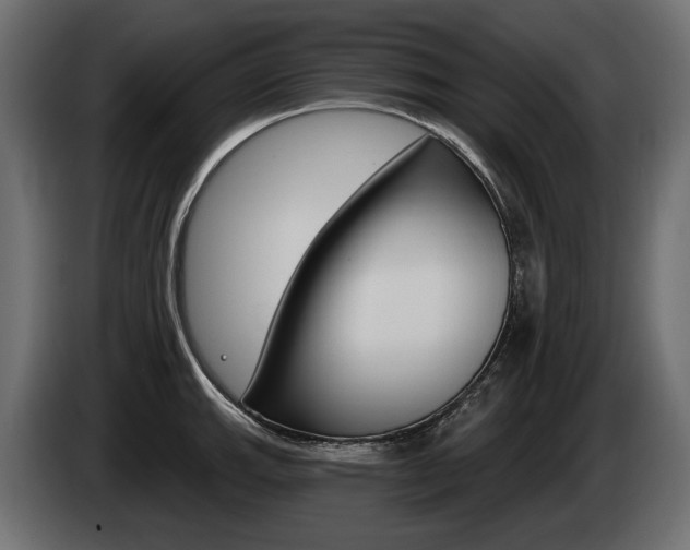 X0000085041143200703051020