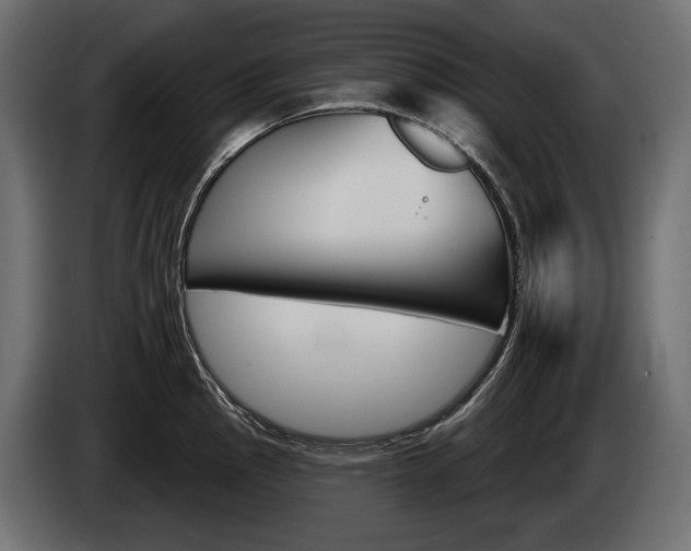 X0000085041145200703051020