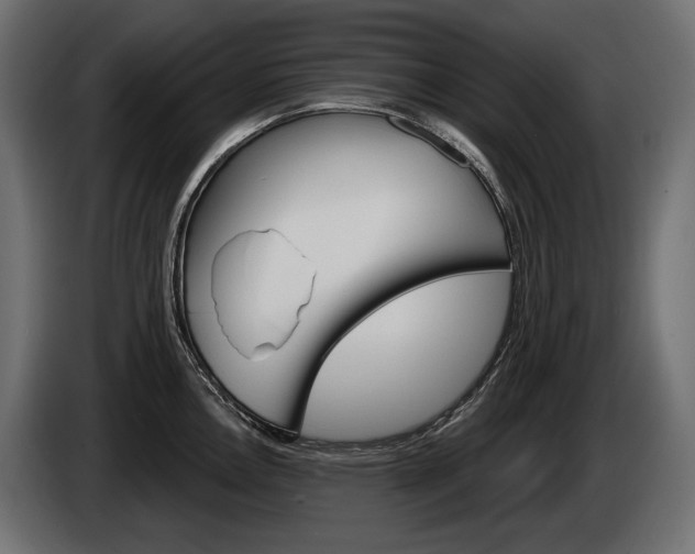 X0000085041146200703051020