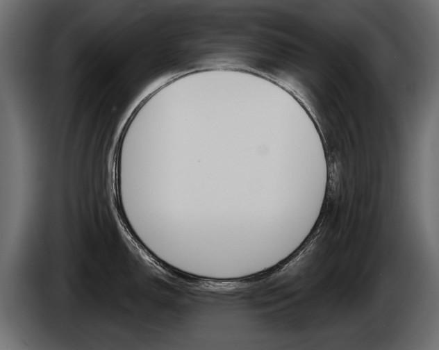 X0000085041150200703051020