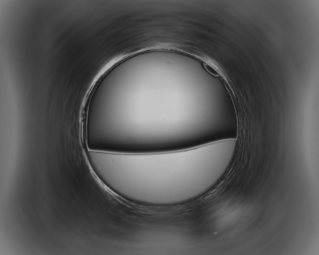 X0000085041151200703051020