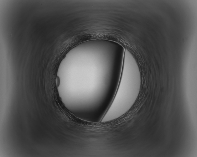 X0000085041153200703051019