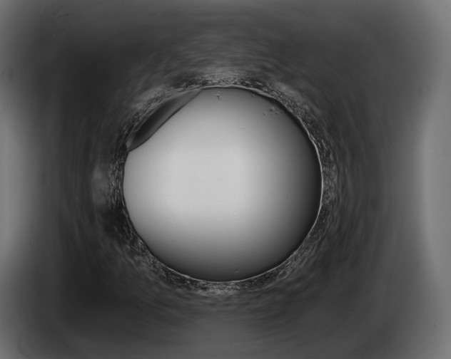 X0000085041157200703051019