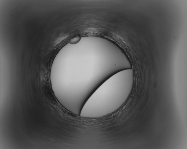X0000085041158200703051019