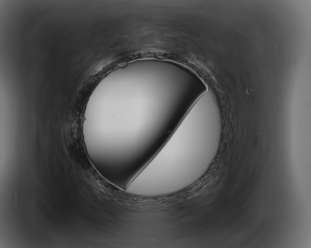 X0000085041159200703051019