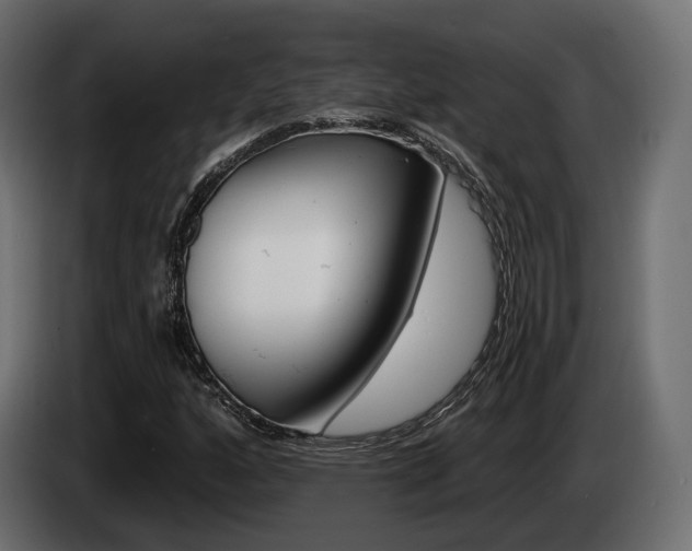 X0000085041160200703051019