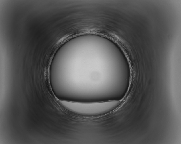 X0000085041161200703051019