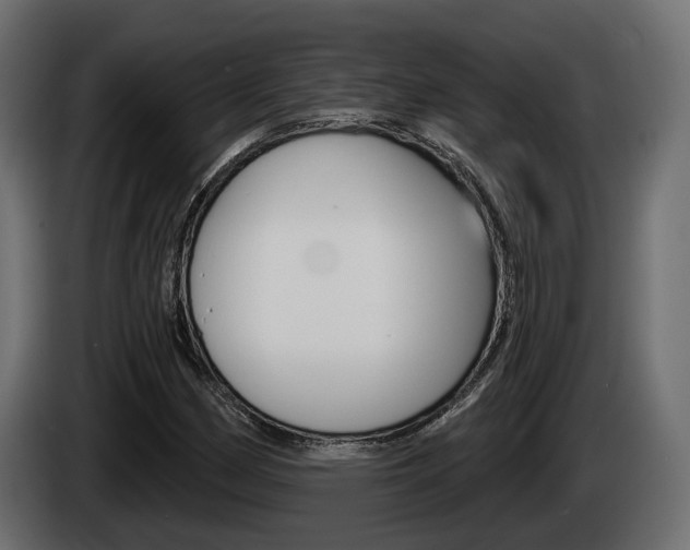 X0000085041162200703051019